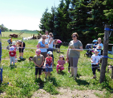Dvoreček 27.5.2017- Putování za koníky