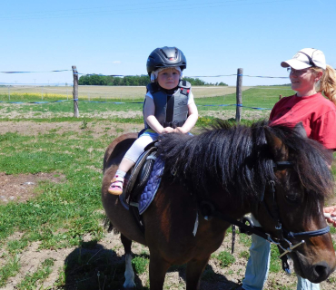 Dvoreček 27.5.2017- Putování za koníky