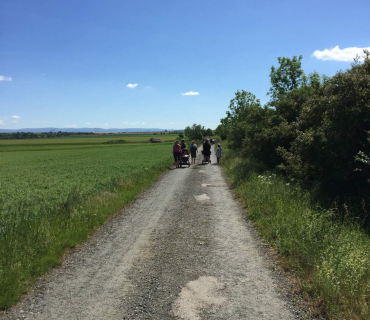 Dvoreček 27.5.2017- Putování za koníky