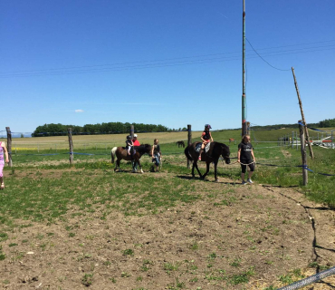 Dvoreček 27.5.2017- Putování za koníky