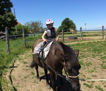 Dvoreček 27.5.2017- Putování za koníky