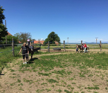 Dvoreček 27.5.2017- Putování za koníky