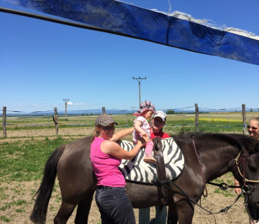 Dvoreček 27.5.2017- Putování za koníky