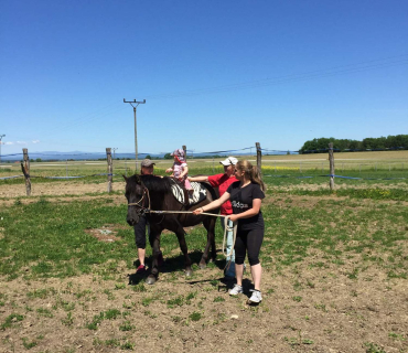 Dvoreček 27.5.2017- Putování za koníky