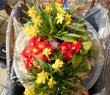 Dvoreček 25.4.2017 - Velikonoční vajíčka