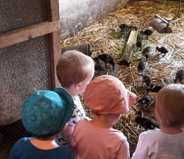 Dvoreček 16.5.2017 - Návštěva k myslivcům a na ovečky