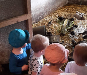 Dvoreček 16.5.2017 - Návštěva k myslivcům a na ovečky