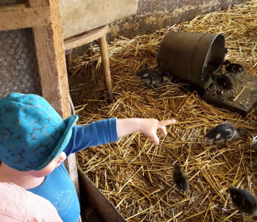 Dvoreček 16.5.2017 - Návštěva k myslivcům a na ovečky