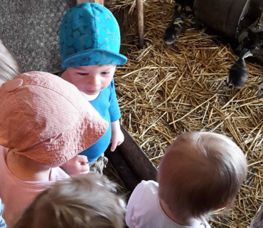 Dvoreček 16.5.2017 - Návštěva k myslivcům a na ovečky