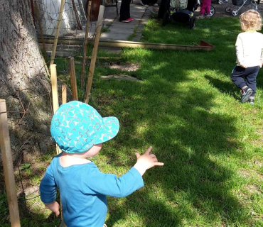 Dvoreček 16.5.2017 - Návštěva k myslivcům a na ovečky