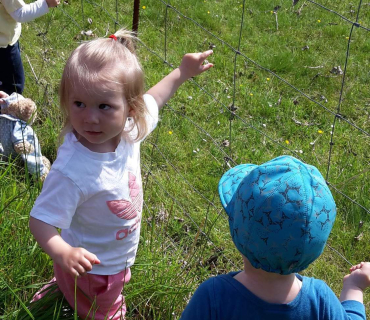 Dvoreček 16.5.2017 - Návštěva k myslivcům a na ovečky