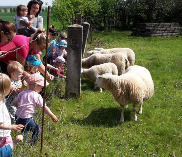 Dvoreček 16.5.2017 - Návštěva k myslivcům a na ovečky