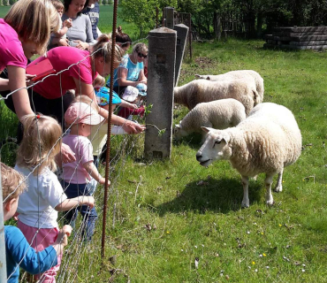 Dvoreček 16.5.2017 - Návštěva k myslivcům a na ovečky