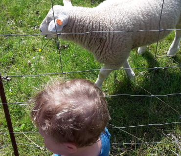 Dvoreček 16.5.2017 - Návštěva k myslivcům a na ovečky