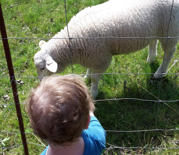Dvoreček 16.5.2017 - Návštěva k myslivcům a na ovečky