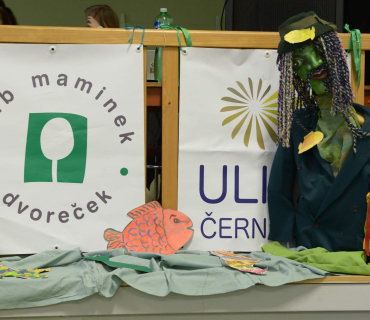 26.3.2017 Vodnický karneval