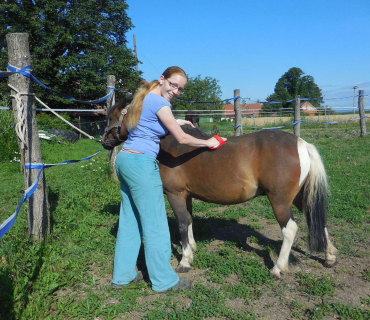 Dvoreček 19.7. Výlet do Borovice