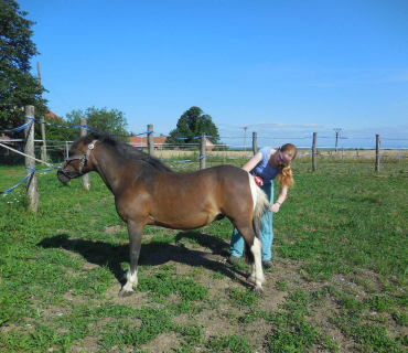 Dvoreček 19.7. Výlet do Borovice
