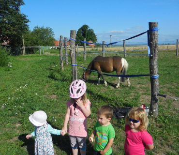 Dvoreček 19.7. Výlet do Borovice