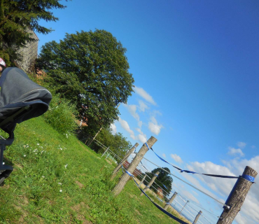 Dvoreček 19.7. Výlet do Borovice