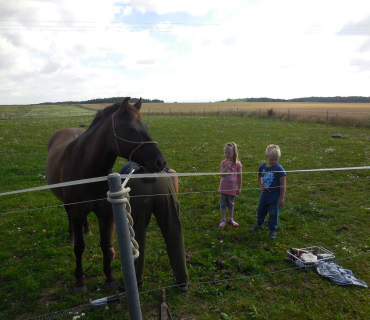 Dvoreček 19.7. Výlet do Borovice