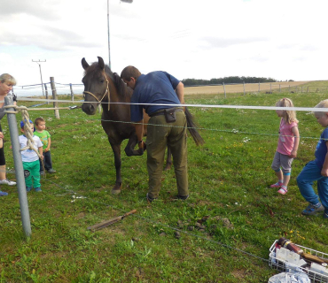 Dvoreček 19.7. Výlet do Borovice
