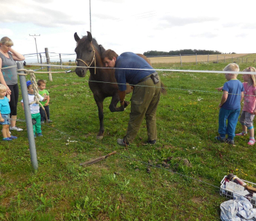 Dvoreček 19.7. Výlet do Borovice