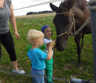 Dvoreček 19.7. Výlet do Borovice