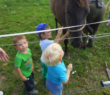 Dvoreček 19.7. Výlet do Borovice