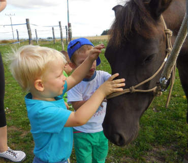 Dvoreček 19.7. Výlet do Borovice