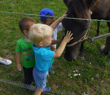 Dvoreček 19.7. Výlet do Borovice