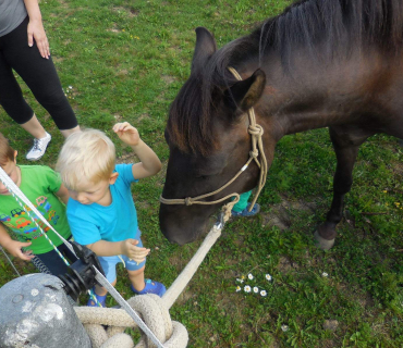 Dvoreček 19.7. Výlet do Borovice