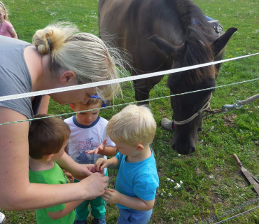 Dvoreček 19.7. Výlet do Borovice