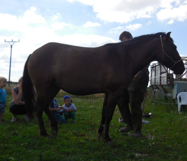 Dvoreček 19.7. Výlet do Borovice