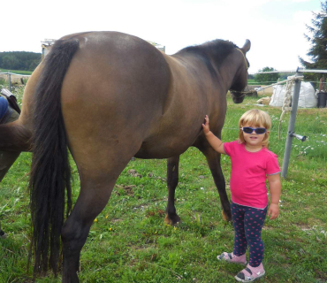 Dvoreček 19.7. Výlet do Borovice