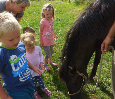 Dvoreček 19.7. Výlet do Borovice