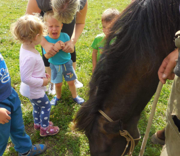Dvoreček 19.7. Výlet do Borovice
