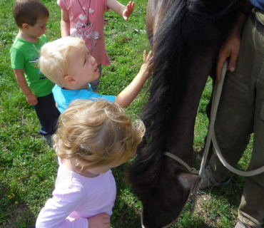 Dvoreček 19.7. Výlet do Borovice