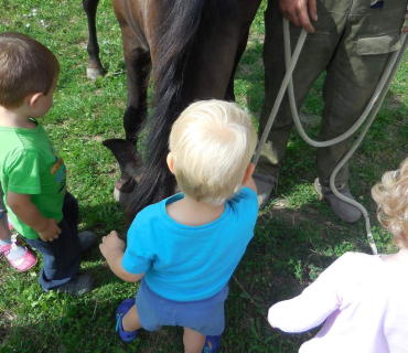 Dvoreček 19.7. Výlet do Borovice