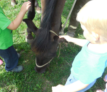 Dvoreček 19.7. Výlet do Borovice