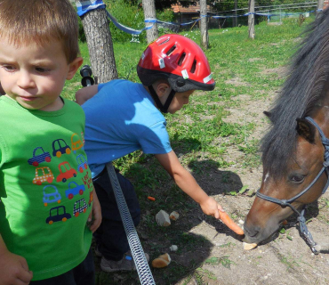Dvoreček 19.7. Výlet do Borovice