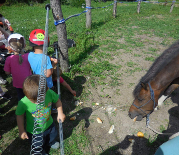 Dvoreček 19.7. Výlet do Borovice