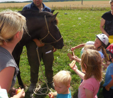 Dvoreček 19.7. Výlet do Borovice