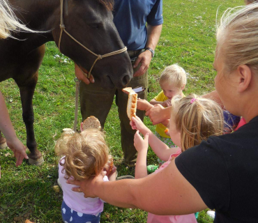 Dvoreček 19.7. Výlet do Borovice