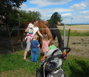 Dvoreček 19.7. Výlet do Borovice