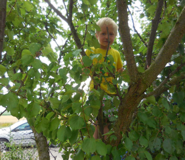 Dvoreček 19.7. Výlet do Borovice