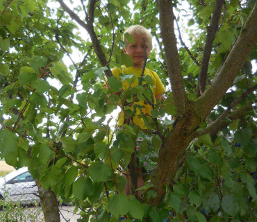 Dvoreček 19.7. Výlet do Borovice