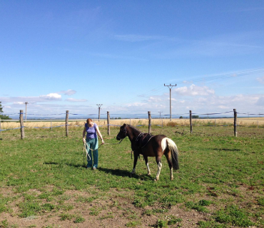 Dvoreček 19.7. Výlet do Borovice