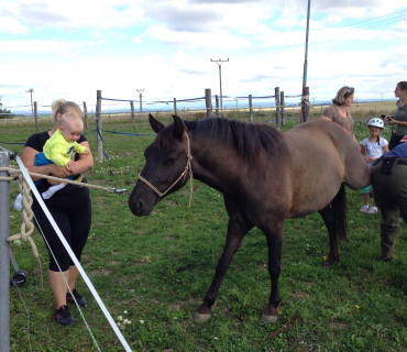Dvoreček 19.7. Výlet do Borovice
