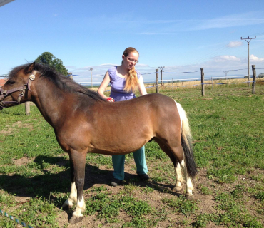 Dvoreček 19.7. Výlet do Borovice